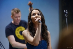 DSC_9565_small